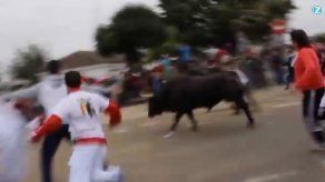 Región española prohíbe la muerte del toro en una polémica fiesta popular
