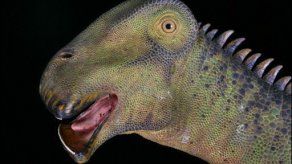 Largo reinado de los dinosaurios fue producto del azar