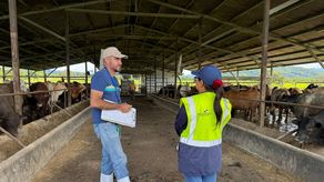 MiAmbiente y MINSA detectan irregularidades ambientales MiAmbiente y MINSA detectan irregularidades ambientales