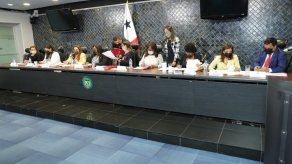 El proyecto de ley fue debatido en la Comisión de la Mujer, la Juventud y la Familia de la Asamblea Nacional.