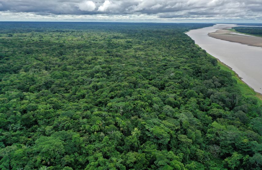 La Amazonía es la mayor selva tropical del mundo.