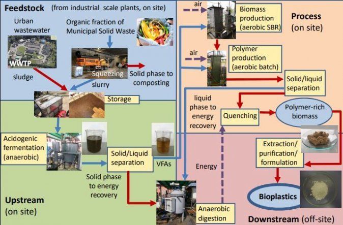 Elaboran bioplásticos a partir de residuos orgánicos urbanos
