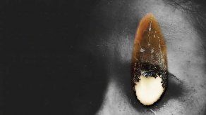 La verdad de Hirokazu Kore-eda inaugurará el 76º festival de cine de Venecia