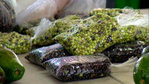 Precio del guandú baja en Merca Panamá