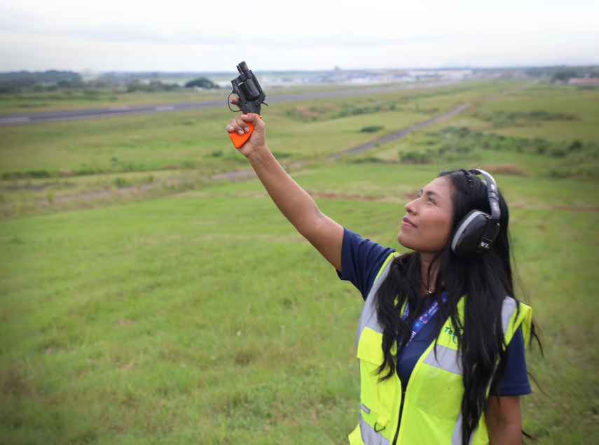 Aeropuerto de Tocumen refuerza vigilancia por aumento de aves migratorias