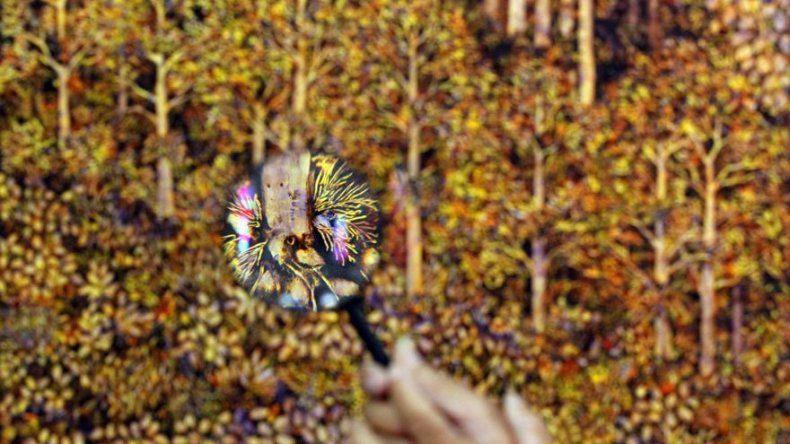 Criaturas y animales empapan universo en miniatura del pintor colombiano Ríos