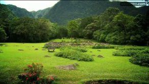 Video: El Níspero hogar de unas 94 especies valiosas para Panamá