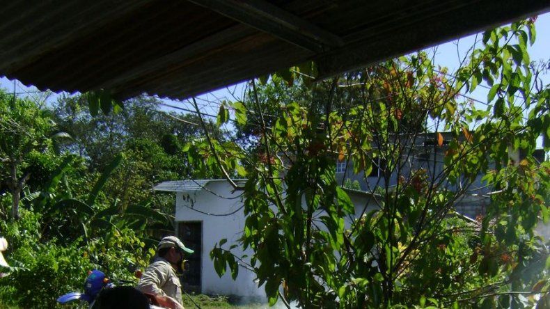 Autoridades de Salud confirman muerte de menor por dengue