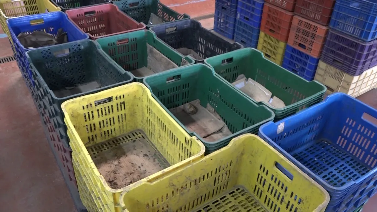 Escasez de alimentos ¿Qué productos no están disponibles?