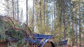 AP - Associated Press