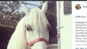 Lady Gaga recibe un poni como regalo de Navidad