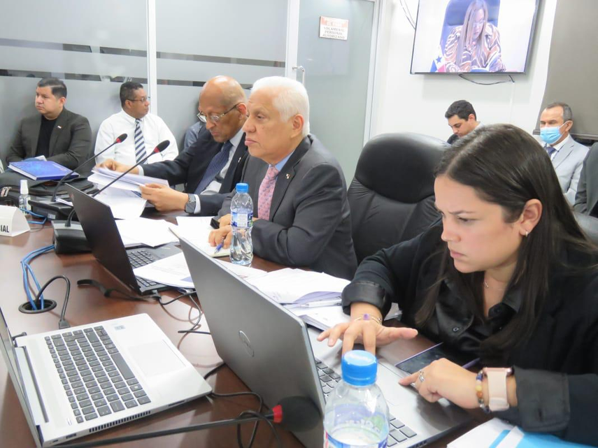 Comisión de presupuesto de la Asamblea Nacional