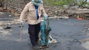 Estadísticas mundiales revelan que 8 millones de toneladas de plástico terminan en los océanos cada año. Autoridades de Panamá piden hacer una correcta disposición de los desechos.