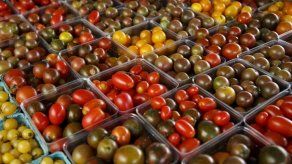 Estudio: los tomates pierden sabor en el refrigerador