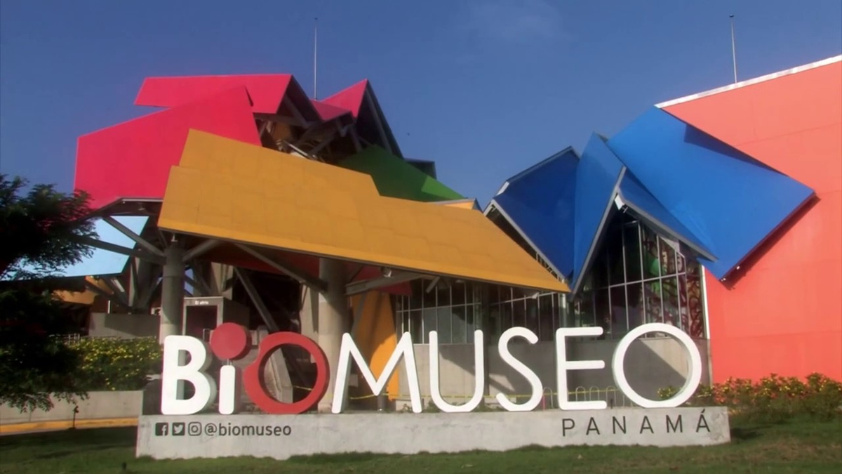 Fiestas patrias 2024: Biomuseo informa sobre horarios de atención en ...