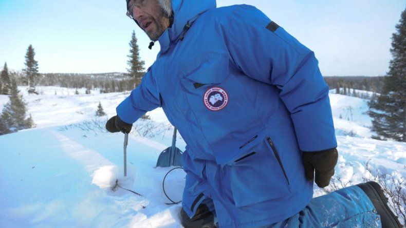 Un exceso de humedad motivó las extinciones masivas de la megafauna