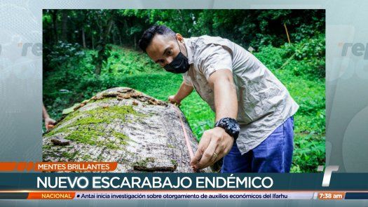Mentes Brillantes: Alfredo Lanuza, entomólogo