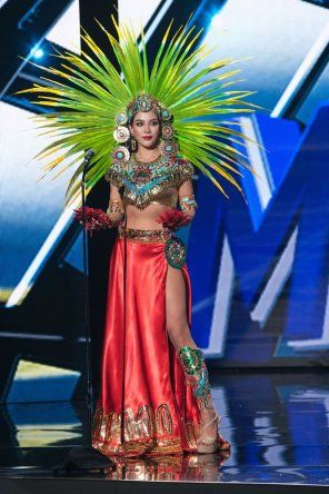 Competencia de Traje Nacional del Miss Universo 2015