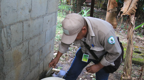 Minsa intensifica cruzada nacional contra el dengue
