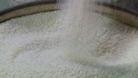Panamá autoriza importar 786 mil quintales de arroz Panamá autoriza importar 786 mil quintales de arroz