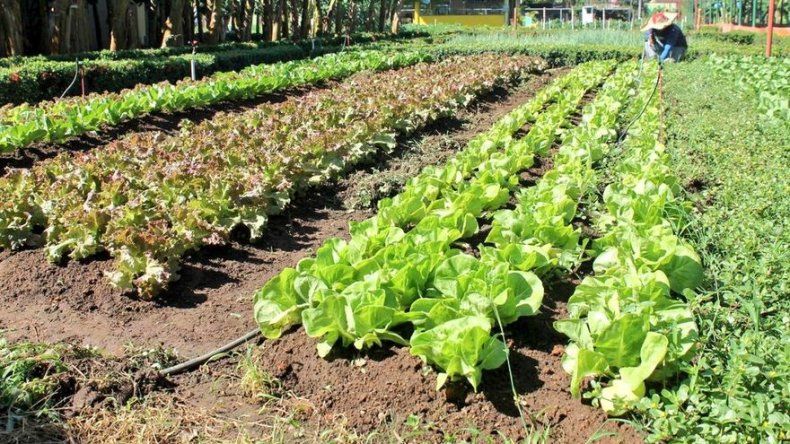 MIDA busca exponenciar exportación de productos a China