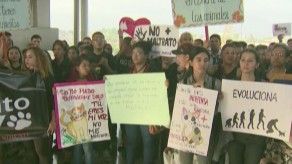 Rescatistas se manifiestan contra el maltrato animal