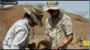 Las primeras herramientas pueden tener 3