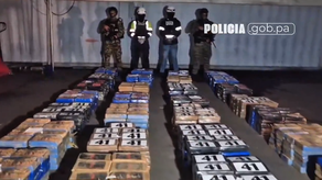 Incautan presunta droga en contenedor con destino a Dinamarca.