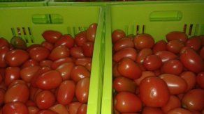 Ilustrativa/ Tomada del MIDA Ilustrativa/ Tomada del MIDA