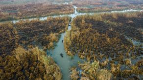 En las ciénagas, donde el pastoreo de búfalos de agua ha sido una forma de vida durante generaciones, la ira hacia el gobierno es palpable.