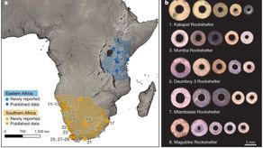Para buscar signos de conexión de la población, Miller y Wang reunieron la mayor base de datos de cuentas de cáscara de huevo de avestruz.