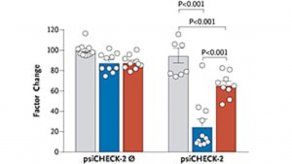 El estudio identificó un nuevo microARN (miR-721 homólogo humano) en sangre exclusivamente en pacientes con miocarditis aguda.