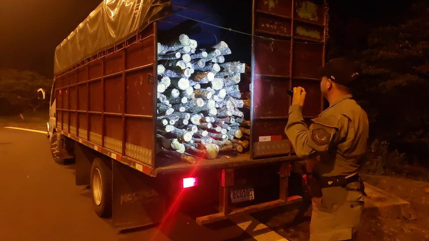 Decomisan en Chiriquí cargamento de madera sin documentación