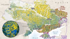 Imagen elaborada por el programa Harvest de la NASA.