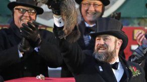 Marmota pronostica 6 semanas más de invierno en EEUU