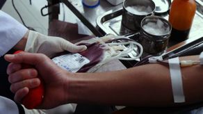 Testigos de Jehová permiten autotransfusiones de sangre en 2026