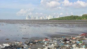 Realizarán jornada de limpieza en el Malecón de Costa del Este a finales de julio