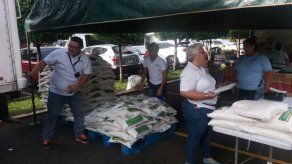 IMA venderá este sábado más de 70 mil sacos de arroz en Ferias Libres