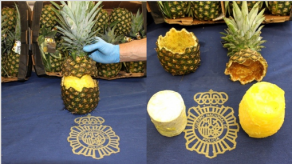 Policía incauta 67 kilos de cocaína dentro de piñas procedentes de Costa Rica