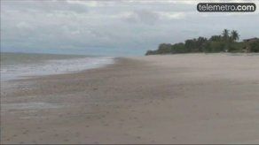 Denuncian vinculación de exministro en acaparación de tierras