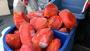 El ministro de Desarrollo Agropecuario, Augusto Valderrama, dijo que a finales de este mes podría iniciar la distribución de jamones.