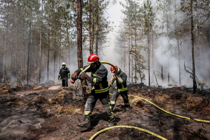 Los bomberos franceses rocían agua para apagar los puntos calientes persistentes dejados por un incendio forestal cerca de Belin-Beliet