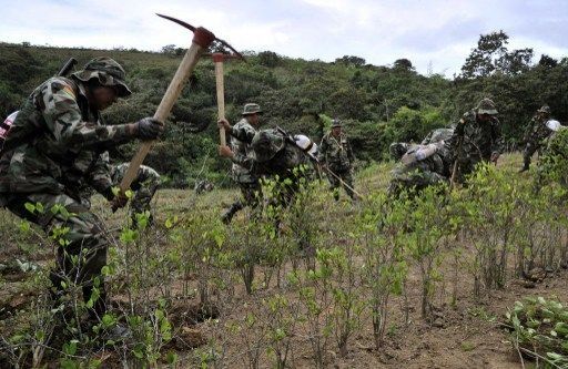 Bolivia logra reducción de sus cocales sin intervención de la DEA