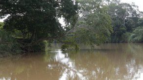 Comité Salvemos al río La Villa no confía en informes del MINSA