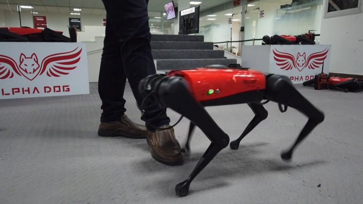 Los perros-robot, el último grito tecnológico en China