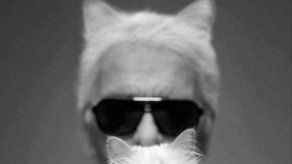 La popularidad de Choupette en Instagram da pie a una batalla por controlar su imagen