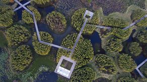 Yu critica buena parte de la infraestructura moderna de Asia porque se basa en ideas importadas de Europa