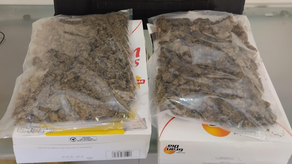 Policía Nacional Policía Nacional