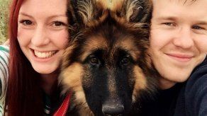 Pareja registra el crecimiento de la mascota por ocho meses