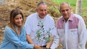 MiAmbiente y la Alcaldía de Panamá siembran árboles en Clayton